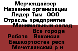 Мерчендайзер › Название организации ­ Лидер Тим, ООО › Отрасль предприятия ­ BTL › Минимальный оклад ­ 17 000 - Все города Работа » Вакансии   . Башкортостан респ.,Мечетлинский р-н